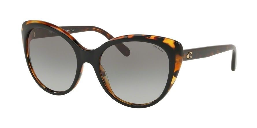 Coach L1060 HC8260 Prescription Sunglasses . Coach Single Vision ...